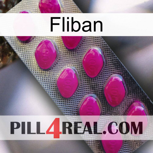 Fliban 09